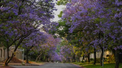 Bryanston