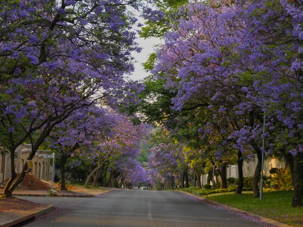 Bryanston