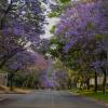 Bryanston